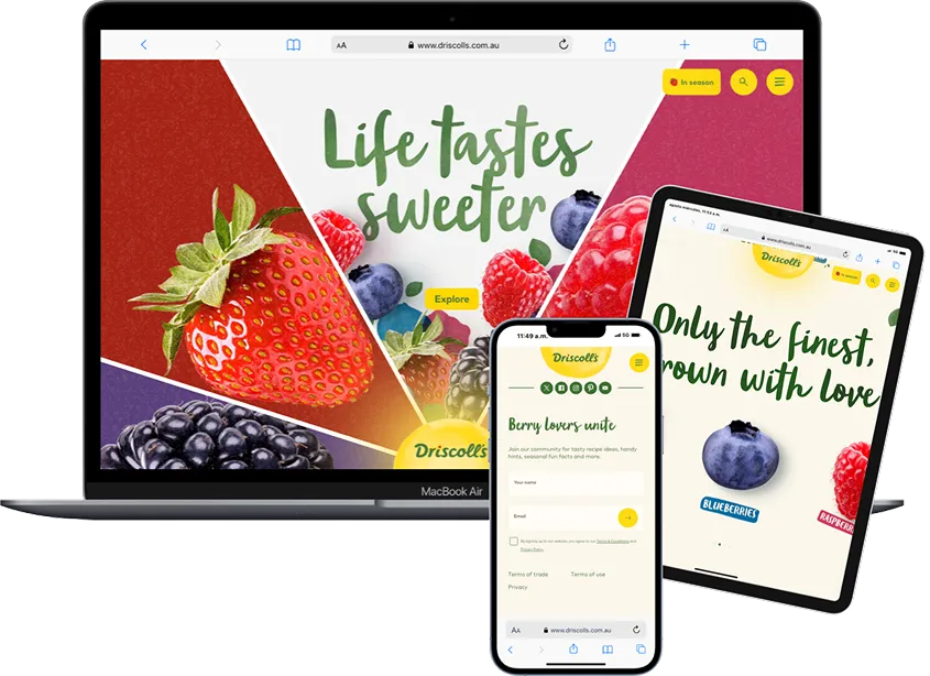 Custom Web Design